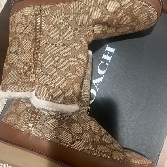 dark and light brown - Picture 6 of 11